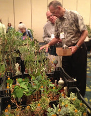 Plant Catalog: a complete list of all my plants for sale