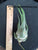 Tillandsia seleriana Medium